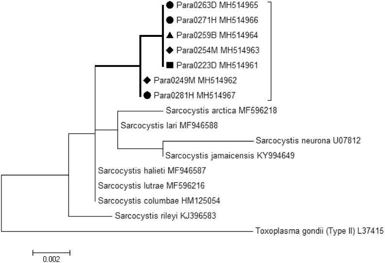 Fig. 3