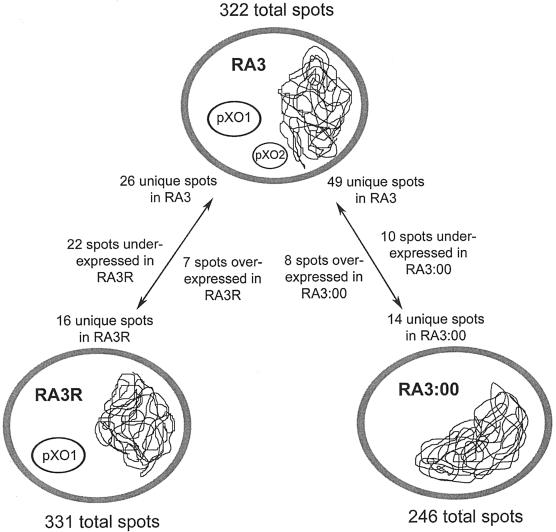 FIG. 3.