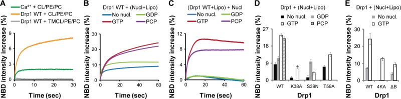 FIGURE 5: