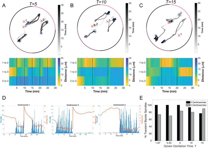 FIGURE 5: