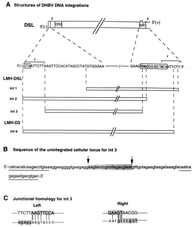 FIG. 8