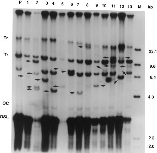 FIG. 4