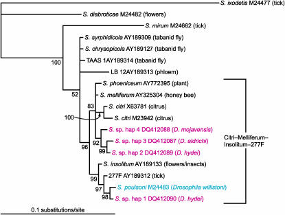 Figure 3.—