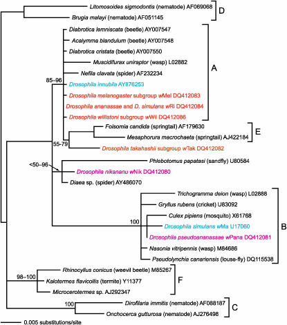 Figure 2.—