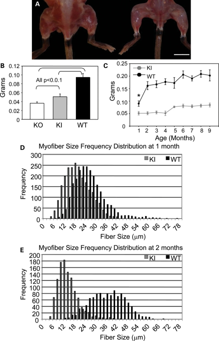 Figure 2.