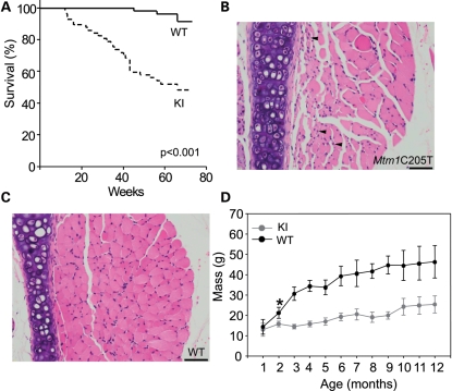 Figure 1.