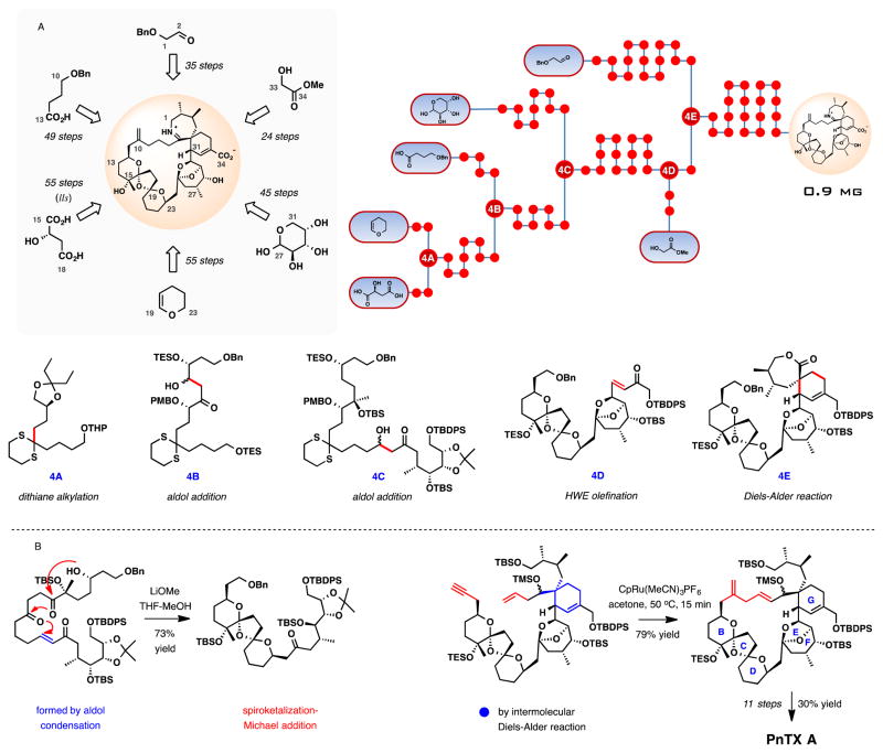 Scheme 4