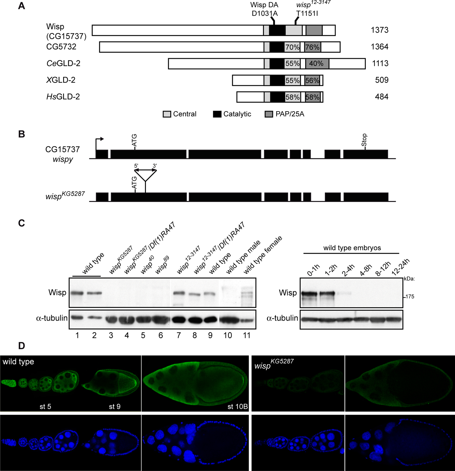 Figure 1: