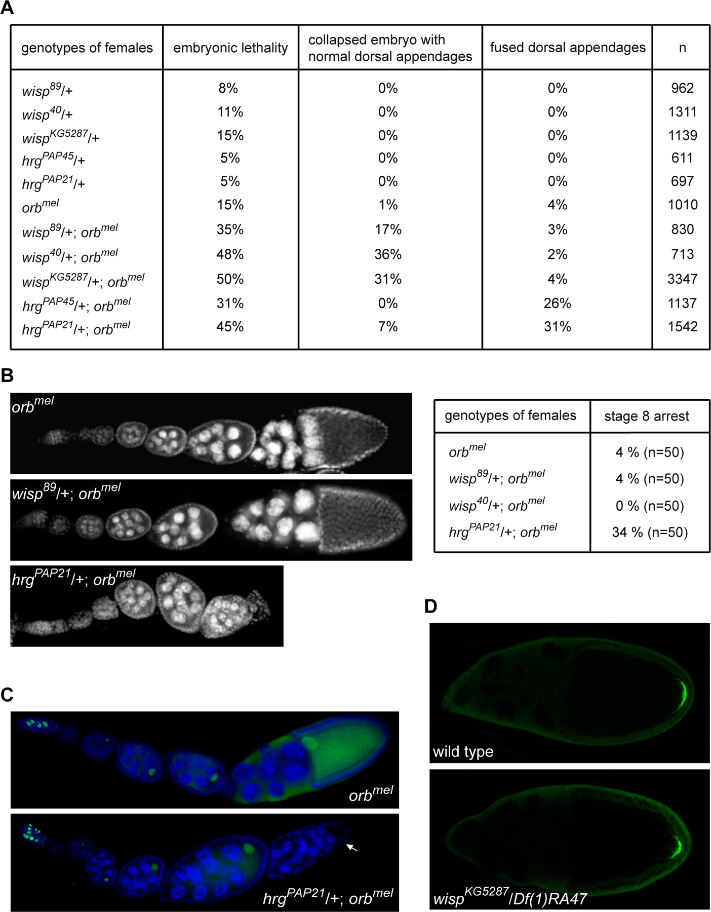 Figure 6: