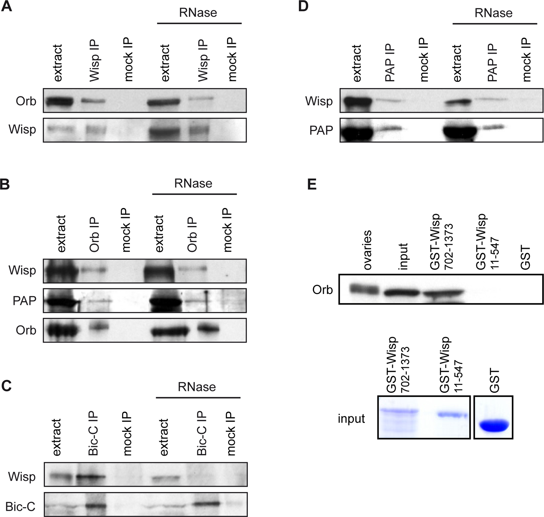 Figure 5: