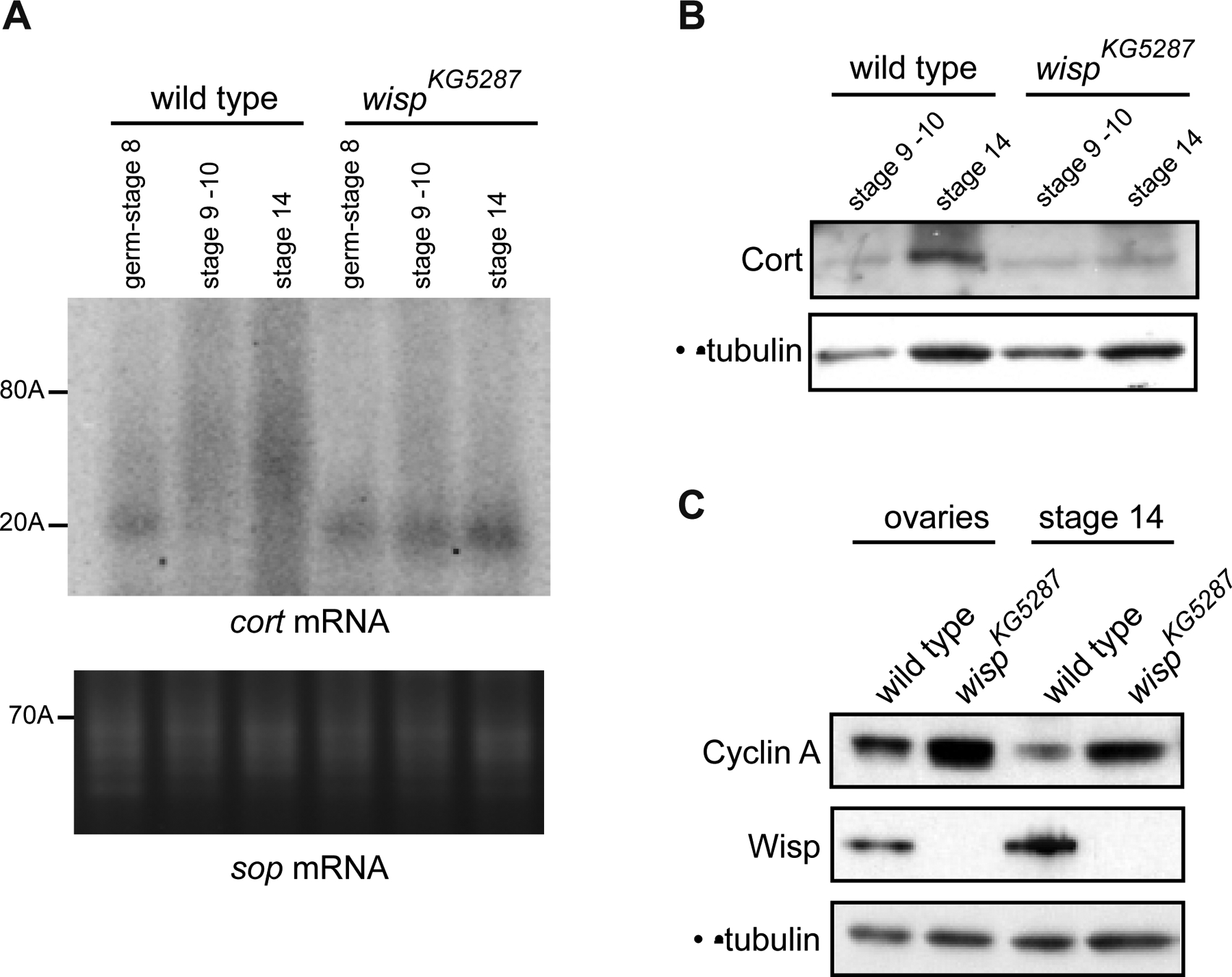 Figure 4: