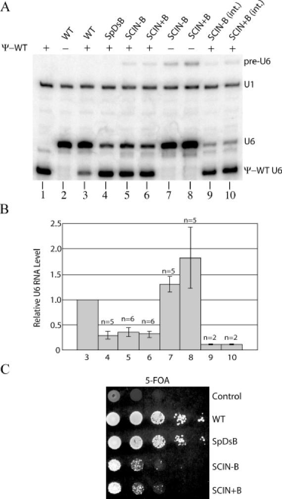 Figure 5