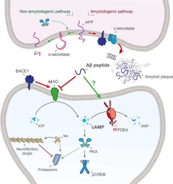 Figure 2.