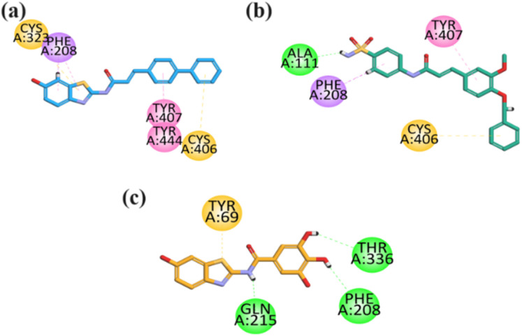 Fig. 10