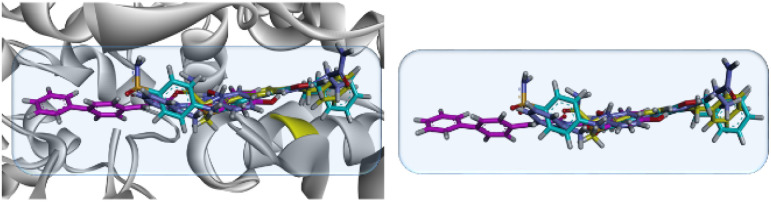 Fig. 9