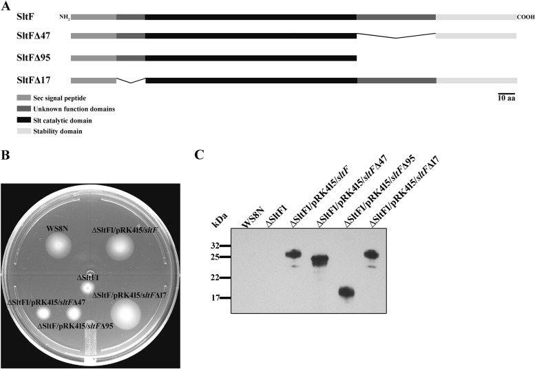 FIG 3