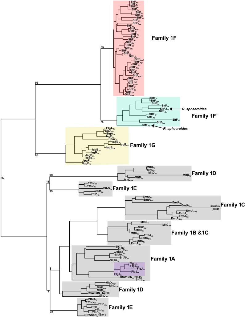 FIG 6