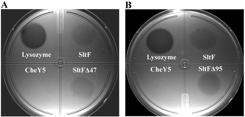 FIG 4