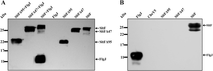 FIG 5