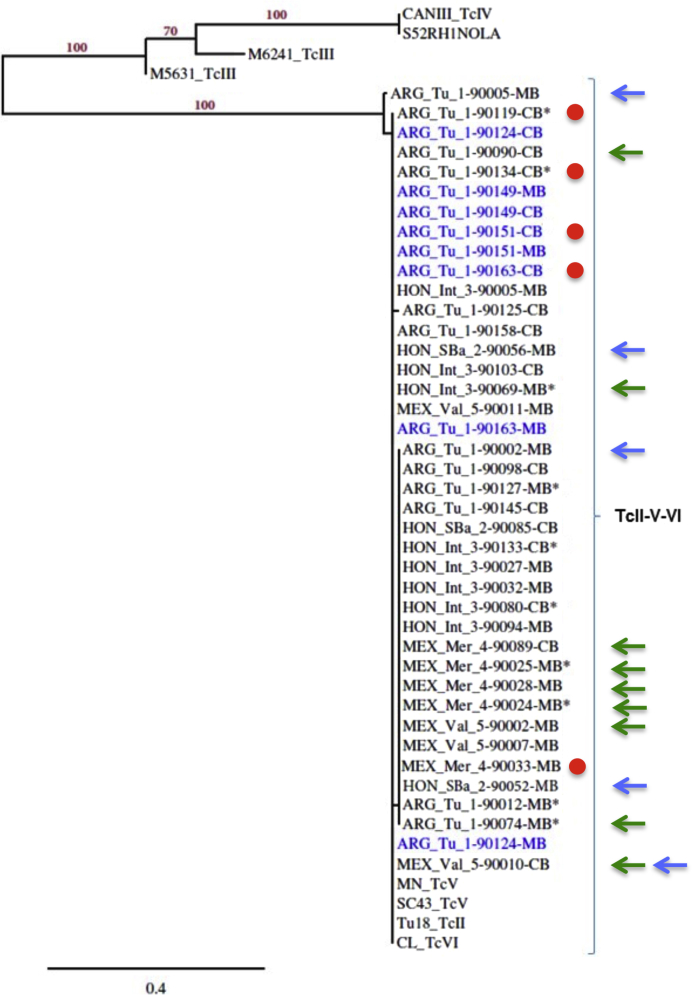 Figure 2