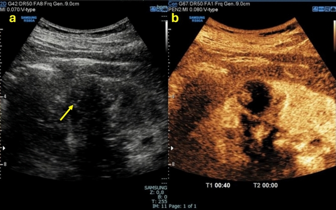 Fig. 8