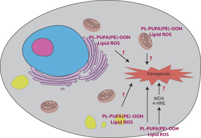 Fig 3