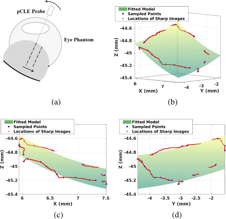 Fig. 7.