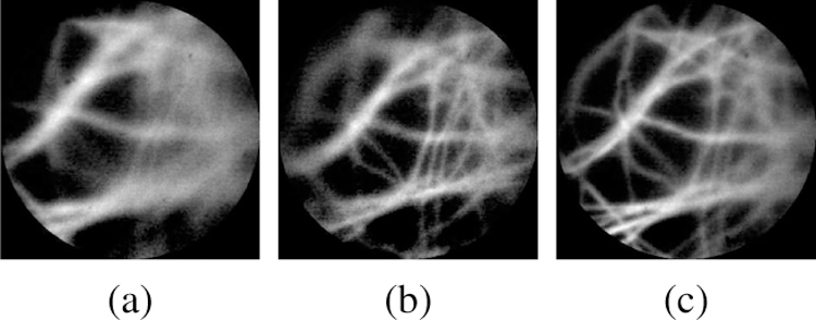 Fig. 6.