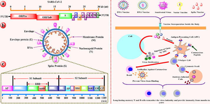 Unlabelled Image