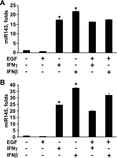 Fig. 9.