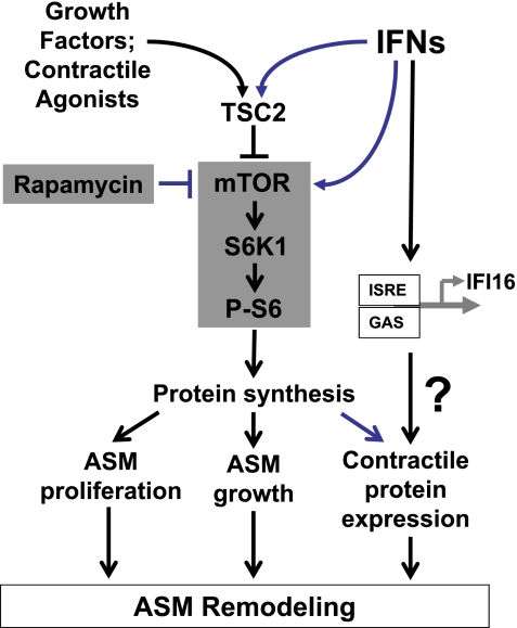 Fig. 10.