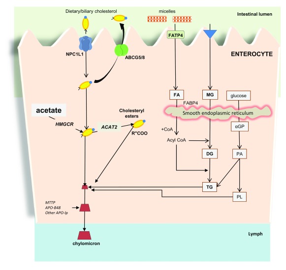 Figure 2. 