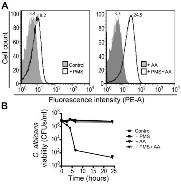 Fig. 6