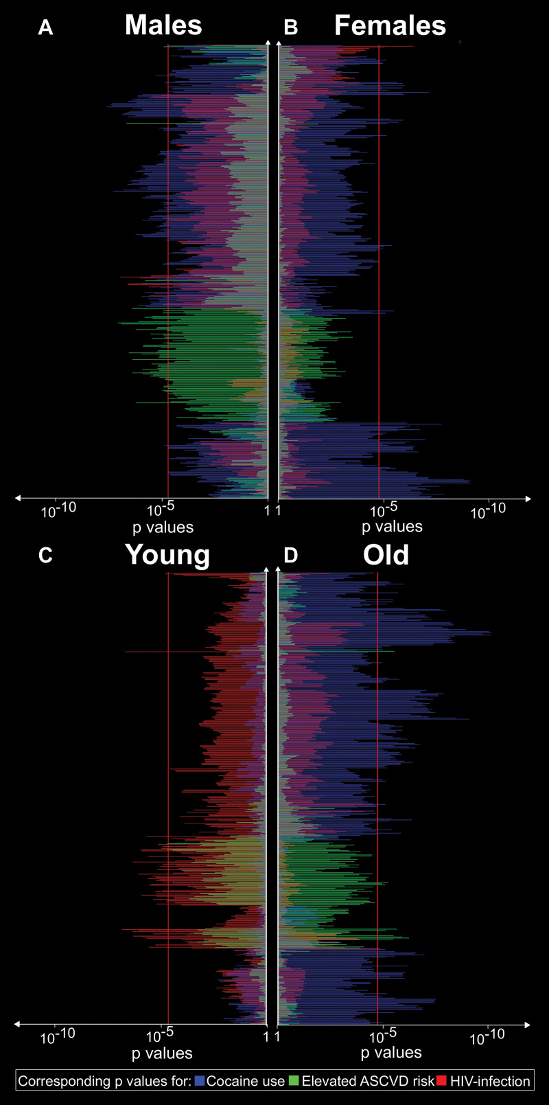 Corresponding P values for associations between cocaine use, HIV infection, elevated atherosclerotic cardiovascular disease (ASCVD) risk and the significant radiomic features stratified by sex and age. A, B, Corresponding P values for associations between cocaine use, HIV infection, and increased ASCVD for each radiomic feature stratified by sex. C, D, Corresponding P values for associations between risk factors and each significant radiomic feature stratified by age based on the median age of 51 years. The features are reordered according to hierarchical clustering. Bars extending farther than the red line (P = .00004) indicate significant associations. The sex-based results indicate sex-specific contributions of the different risk factors on coronary atherosclerosis morphologic features. Furthermore, age stratification indicates that different risk factors may have different contributions to atherosclerosis depending on the individual’s age.