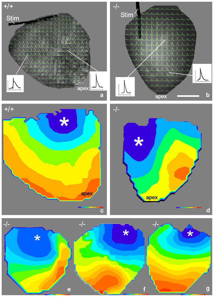 Fig. 4