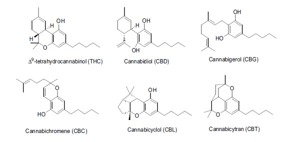 Fig. (1)