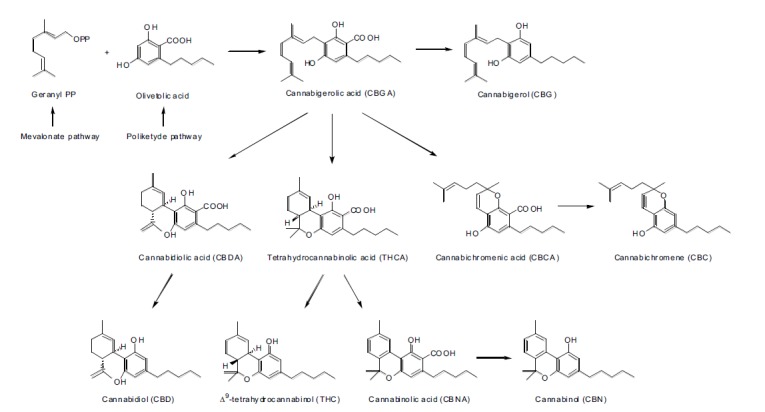 Fig. (3)