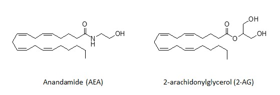 Fig. (4)