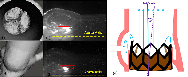 Figure 2: