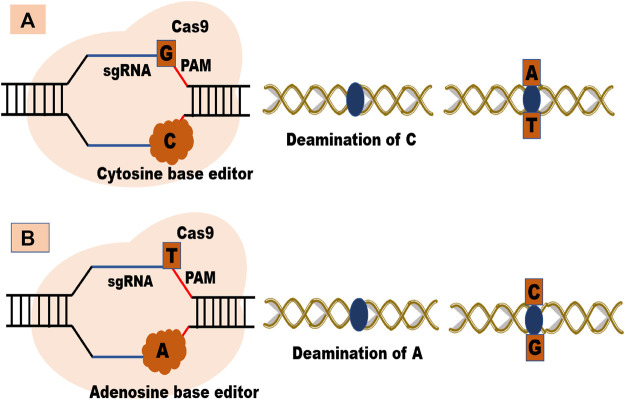 FIGURE 3