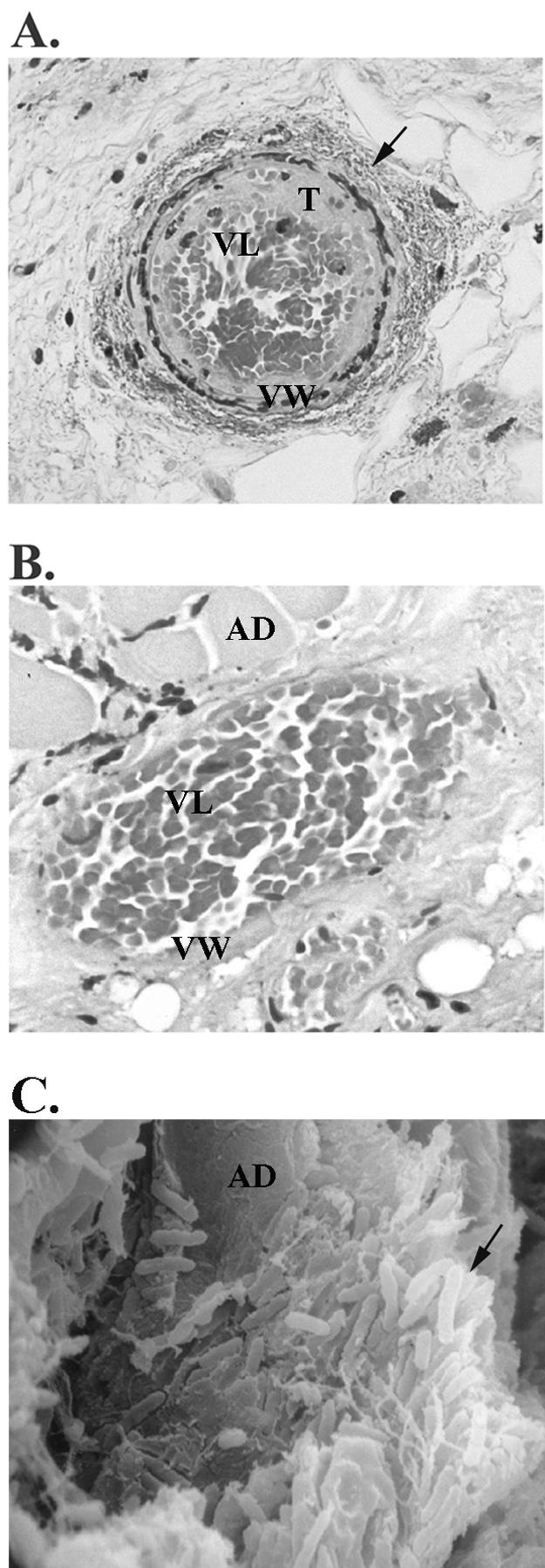 FIG. 5.