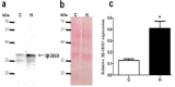 Fig. (3)