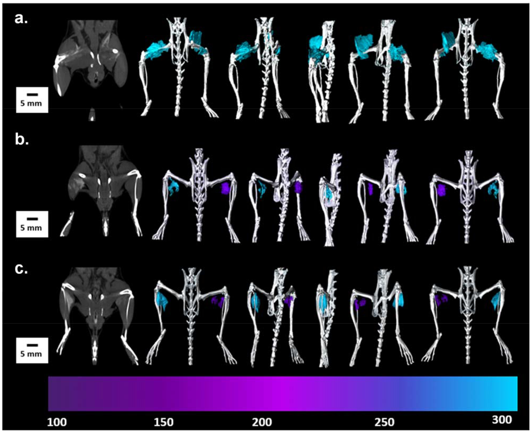 Figure 13.