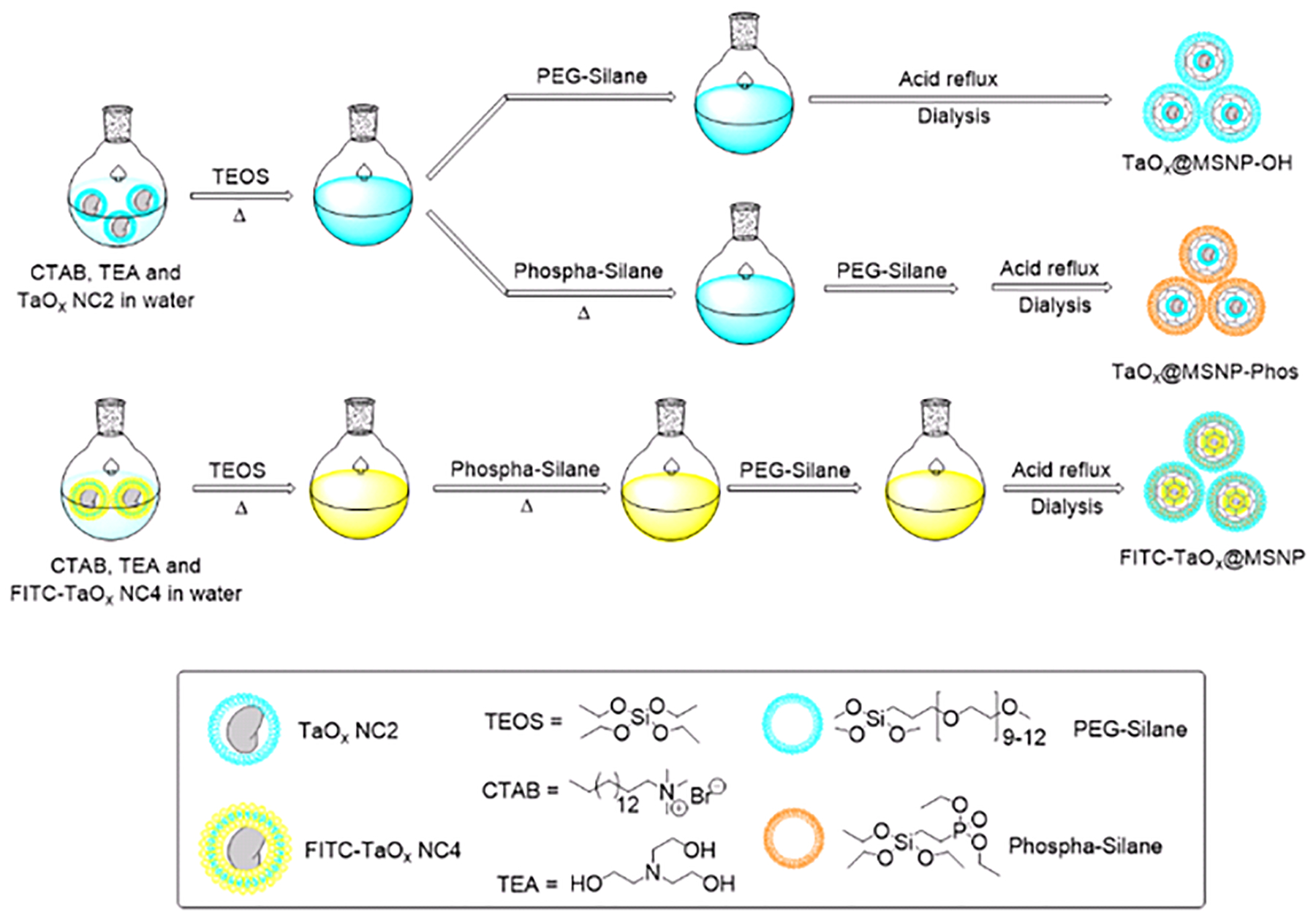 Scheme 3.