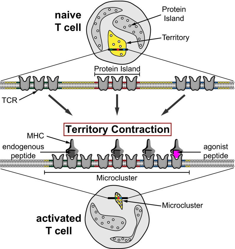 Fig. 4.