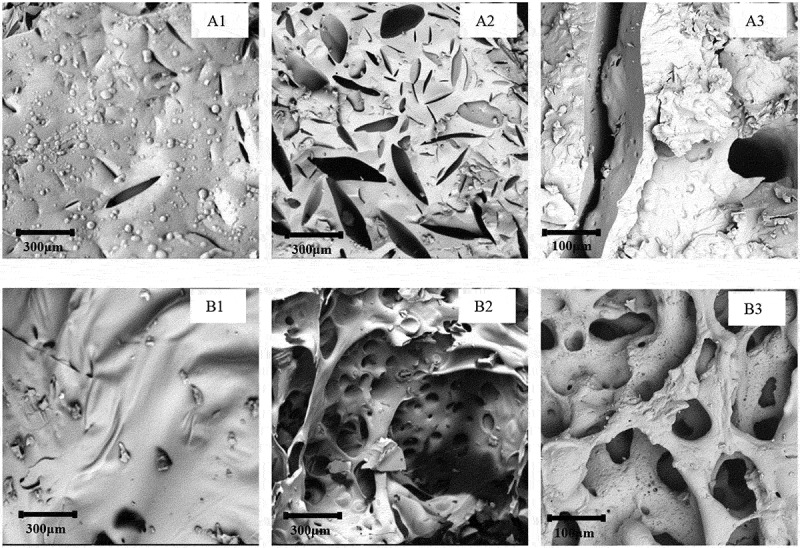 Figure 11.