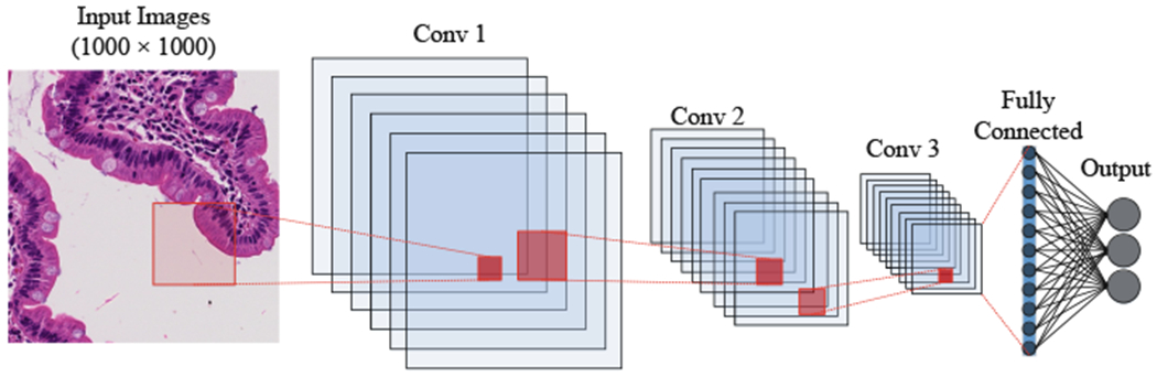 Fig. 5.