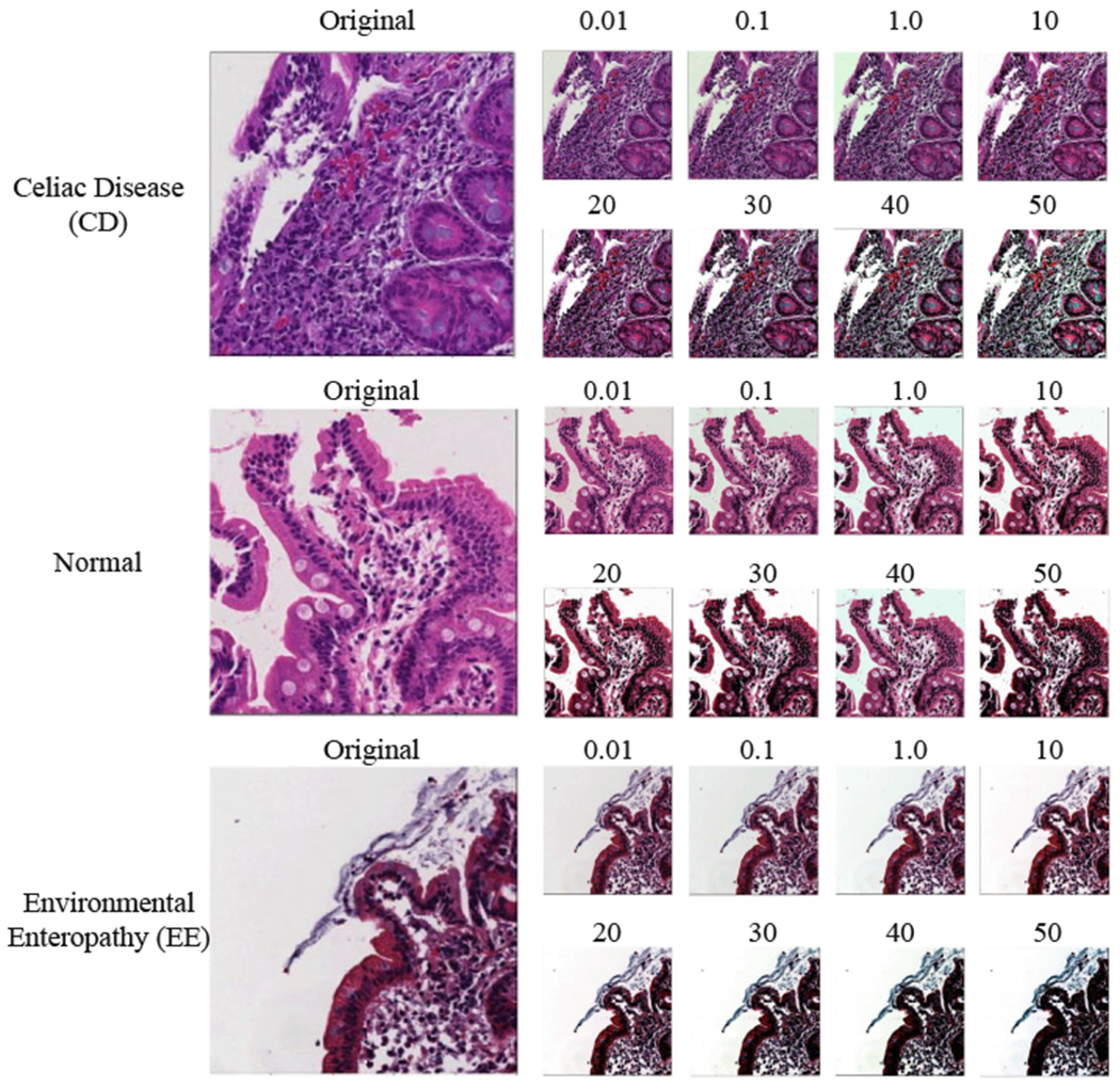 Fig. 4.