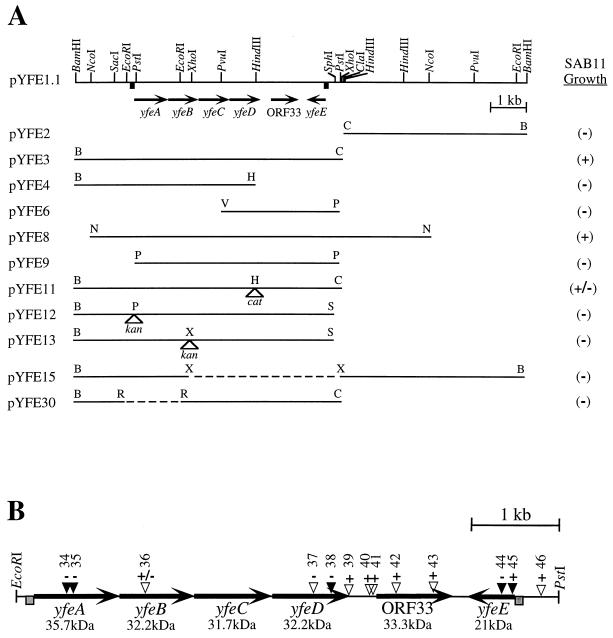 FIG. 1