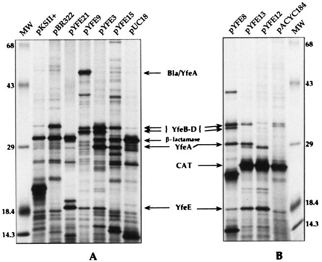 FIG. 6